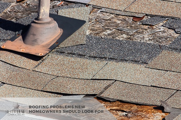 Roofing Problems New Homeowners Should Look For
