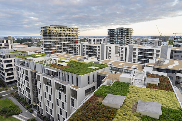 View of green roofing systems on modern buildings and residential units.